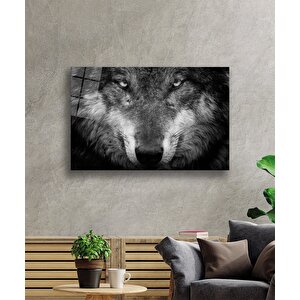Siyah Kurt Hayvan Cam Tablo 50x70 cm