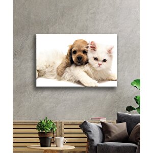 Kedi Ve Köpek Cam Tablo 36x23 cm