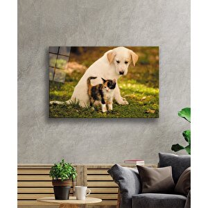 Kedi Köpek Cam Tablo 90x60 cm