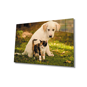 Kedi Köpek Cam Tablo 36x23 cm