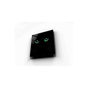 Kedi Cam Tablo