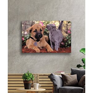 Kedi Köpek Cam Tablo 36x23 cm