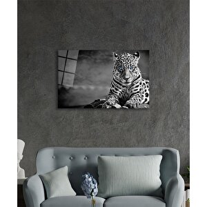 Çita Hayvan Portresi Cam Tablo Ev Ve Ofis Duvar Dekoru 50x70 cm