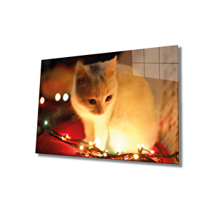 Beyaz Kedi Ve Sarı Işık Cam Tablo Yellow Cat And Lights 50x70 cm