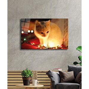 Beyaz Kedi Ve Sarı Işık Cam Tablo Yellow Cat And Lights 50x70 cm