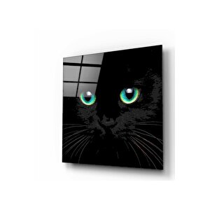 Kedi Cam Tablo 80x80 cm