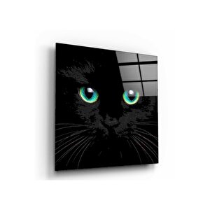 Kedi Cam Tablo 80x80 cm