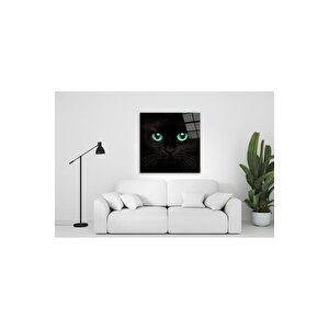 Kedi Cam Tablo 80x80 cm