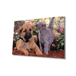 Kedi Köpek Cam Tablo 50x70 cm