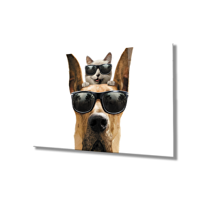 Gözlüklü Kedi Ve Köpek Cam Tablo 36x23 cm