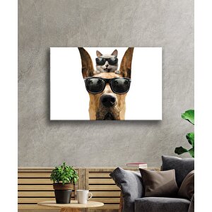 Gözlüklü Kedi Ve Köpek Cam Tablo 36x23 cm