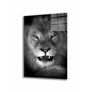 Aslan Hayvan Siyah Beyaz Cam Tablo 36x23 cm