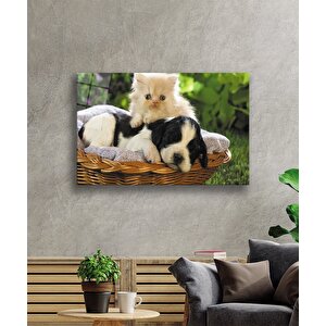 Kedi Köpek Cam Tablo 36x23 cm