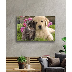 Kedi Köpek Cam Tablo 50x70 cm