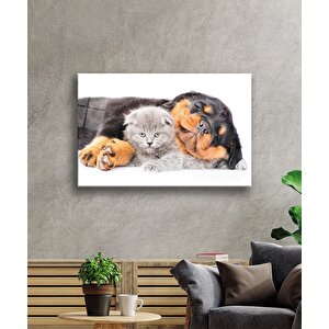 Kedi Köpek Cam Tablo 36x23 cm