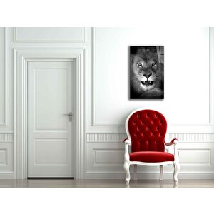 Aslan Hayvan Siyah Beyaz Cam Tablo 50x70 cm