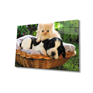 Kedi Köpek Cam Tablo 36x23 cm