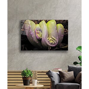 Sarı Yeşil Yılan Hayvan Cam Tablo 50x70 cm
