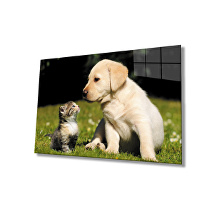 Kedi Ve Köpek Cam Tablo 110x70 cm