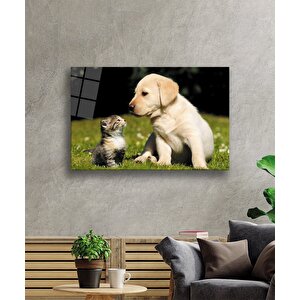 Kedi Ve Köpek Cam Tablo 110x70 cm