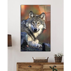 Kurt Hayvan Portresi Cam Tablo Ev Ve Ofis Duvar Dekoru 110x70 cm