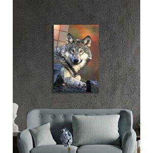Kurt Hayvan Portresi Cam Tablo Ev Ve Ofis Duvar Dekoru 110x70 cm