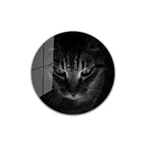 Kedi Yuvarlak Cam Tablo 4mm Dayanıklı Temperli Cam 50x50 cm