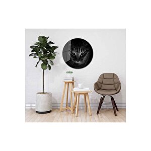 Kedi Yuvarlak Cam Tablo 4mm Dayanıklı Temperli Cam 50x50 cm