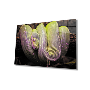 Sarı Yeşil Yılan Hayvan Cam Tablo 36x23 cm