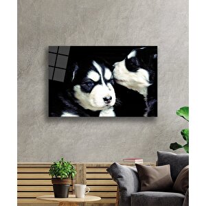 Kedi Ve Köpek Cam Tablo 90x60 cm