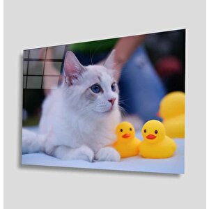 Beyaz Kedi Cam Tablo 36x23 cm