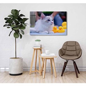 Beyaz Kedi Cam Tablo 36x23 cm