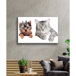 Kedi Ve Köpek Cam Tablo 50x70 cm