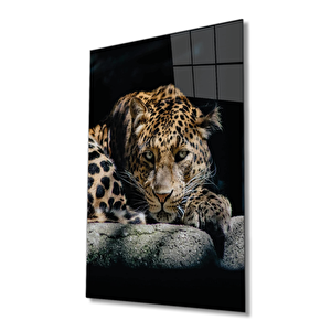 Kaplan Hayvan Portresi Cam Tablo Ev Ve Ofis Duvar Dekoru 36x23 cm