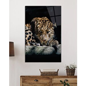 Kaplan Hayvan Portresi Cam Tablo Ev Ve Ofis Duvar Dekoru 36x23 cm