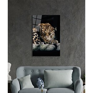 Kaplan Hayvan Portresi Cam Tablo Ev Ve Ofis Duvar Dekoru 36x23 cm