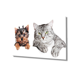 Kedi Ve Köpek Cam Tablo 36x23 cm
