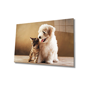 Kedi Ve Köpek Cam Tablo 90x60 cm