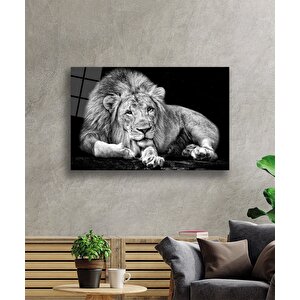 Aslan Hayvancam Tablo 110x70 cm