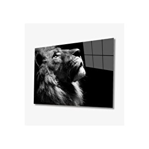 Aslan Hayvan Cam Tablo 4mm Dayanıklı Temperli Cam 80x130 cm