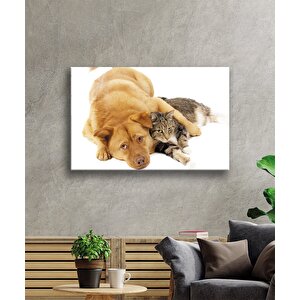 Kedi Köpek Cam Tablo 110x70 cm