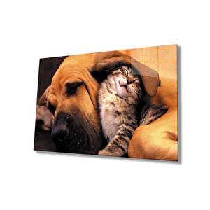 Kedi Köpek Cam Tablo 36x23 cm