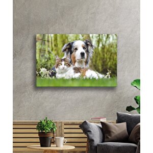 Kedi Köpek Cam Tablo 50x70 cm