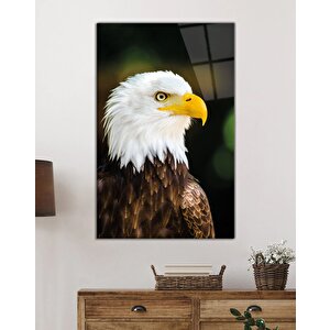 Kartal Hayvan Portresi Cam Tablo Ev Ve Ofis Duvar Dekoru 36x23 cm