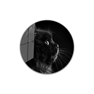 Kedi Yuvarlak Cam Tablo 4mm Dayanıklı Temperli Cam 30x30 cm