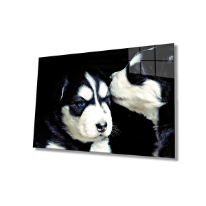Kedi Ve Köpek Cam Tablo 36x23 cm