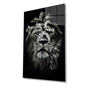 Aslan Hayvan Portresi Cam Tablo Ev Ve Ofis Duvar Dekoru 50x70 cm