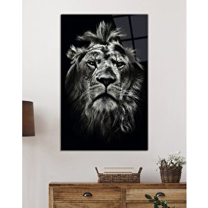 Aslan Hayvan Portresi Cam Tablo Ev Ve Ofis Duvar Dekoru 50x70 cm