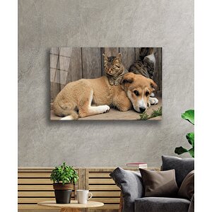 Kedi Köpek Cam Tablo 36x23 cm
