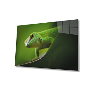 Hayvan Yeşil Cam Tablo Green Animal 50x70 cm